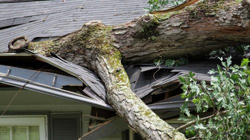 Storm Damage Roof Repair